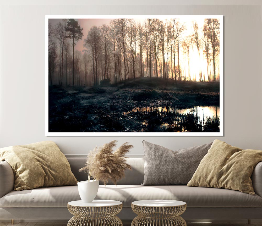 Early Morning Swamp Print Poster Wall Art