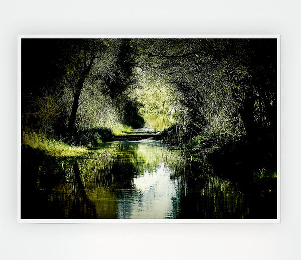 Forest Waterway Print Poster Wall Art