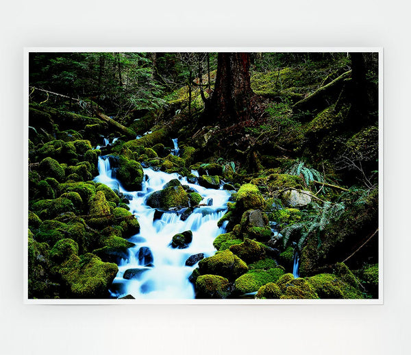 Forest Stream Movement Print Poster Wall Art