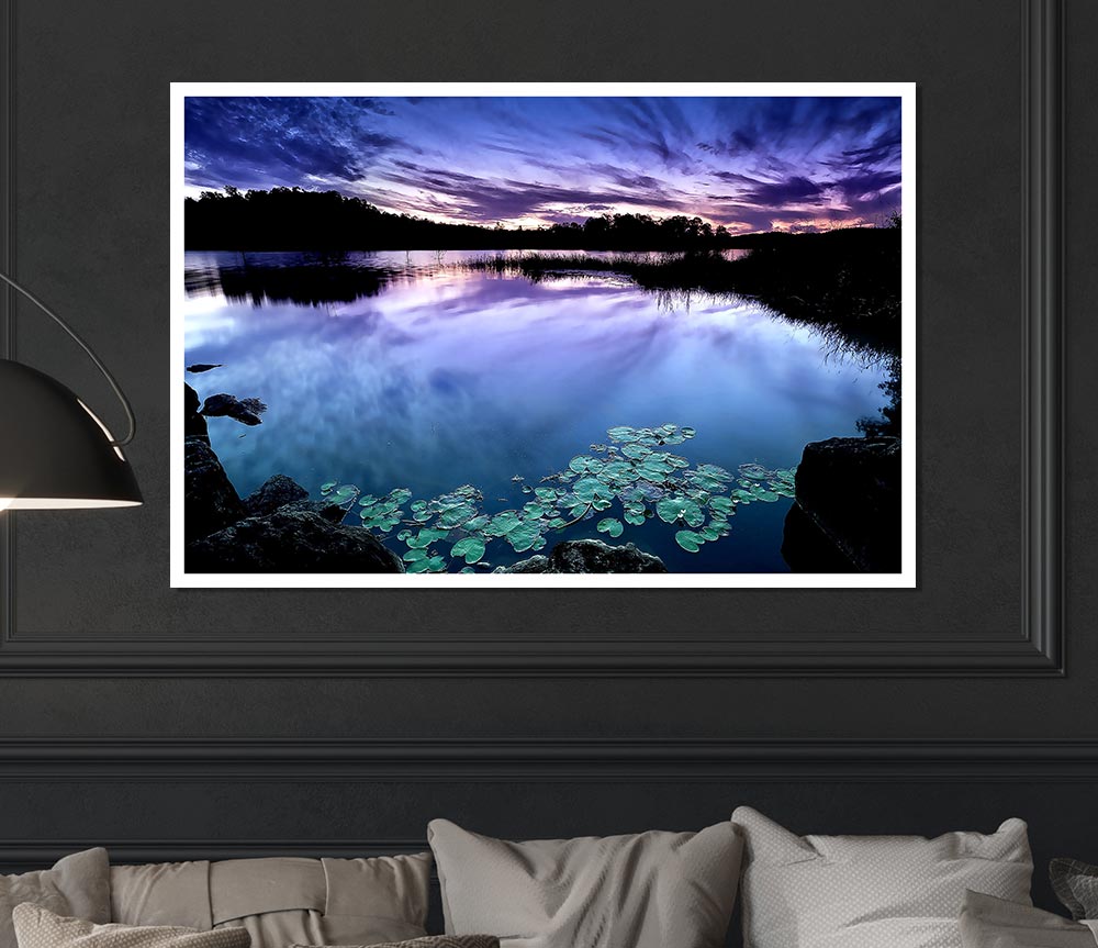 Calm Dusk Water Lily Pads Print Poster Wall Art