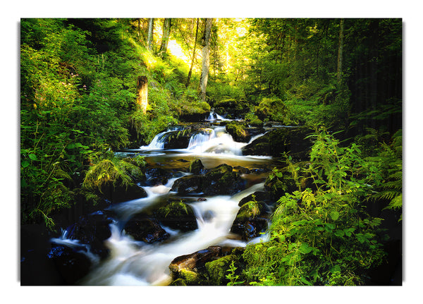 Schwarzwald in Deutschland