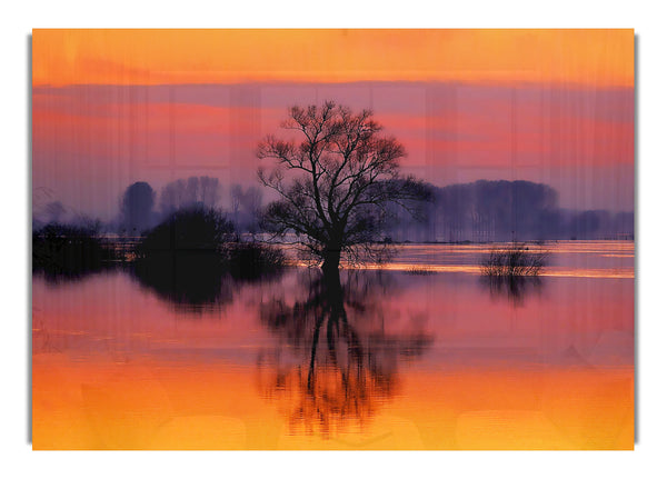 Orange Morning Reflections