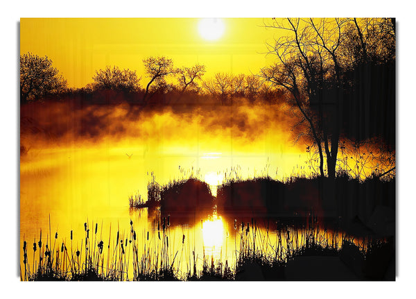 Misty Yellow Lake Side