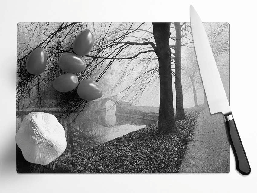 Winter River Walk B n W Glass Chopping Board