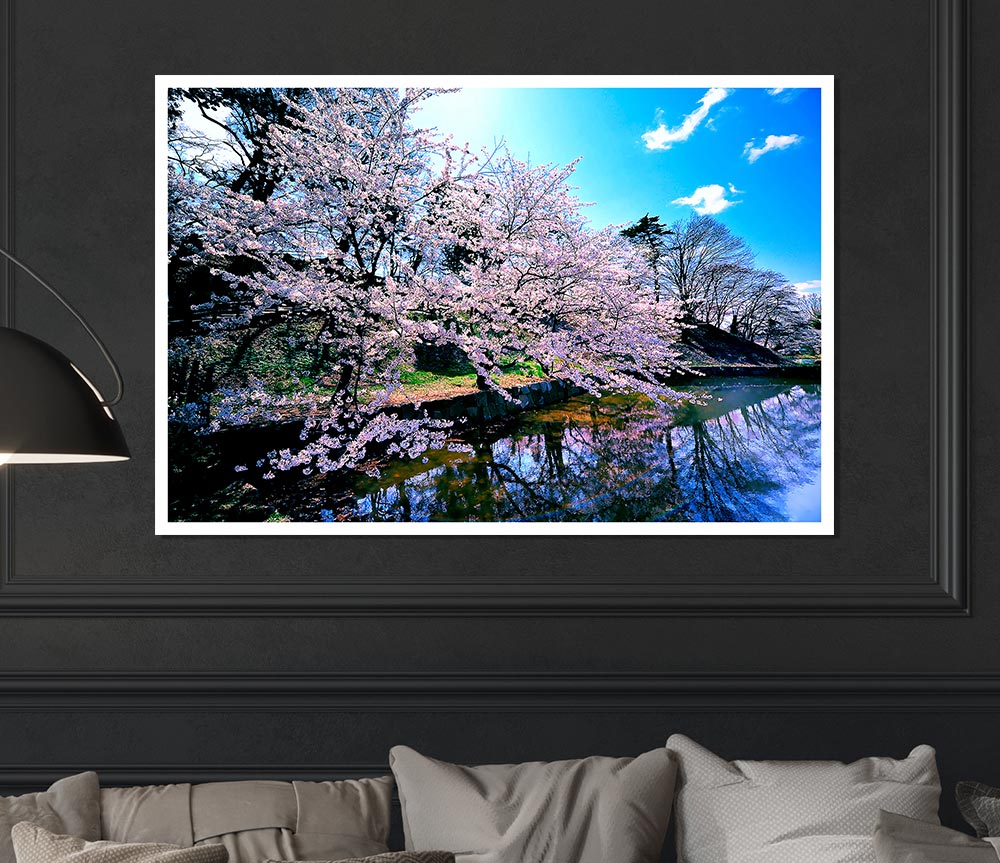 Cherry Blossom Trees Print Poster Wall Art