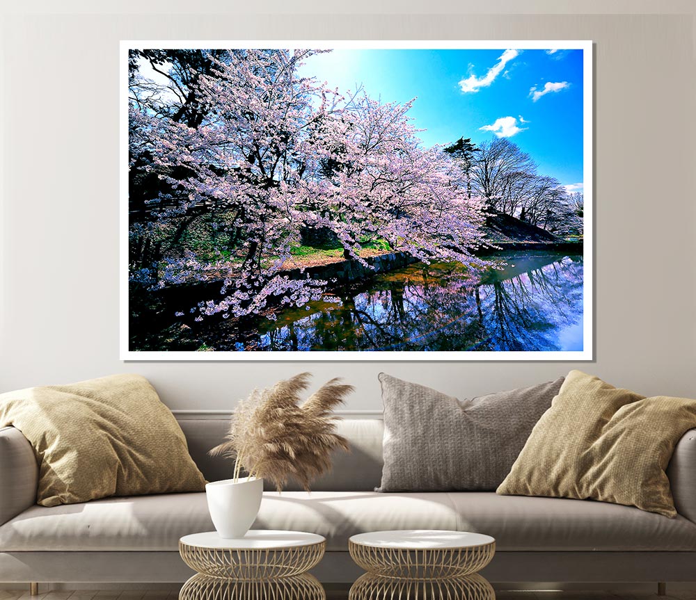 Cherry Blossom Trees Print Poster Wall Art