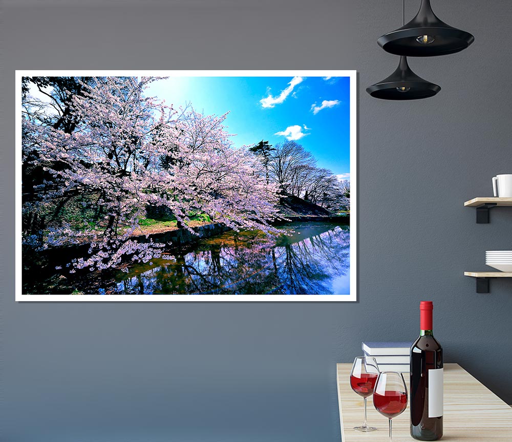 Cherry Blossom Trees Print Poster Wall Art