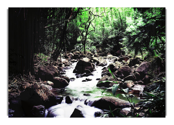 Hidden Woodland Stream