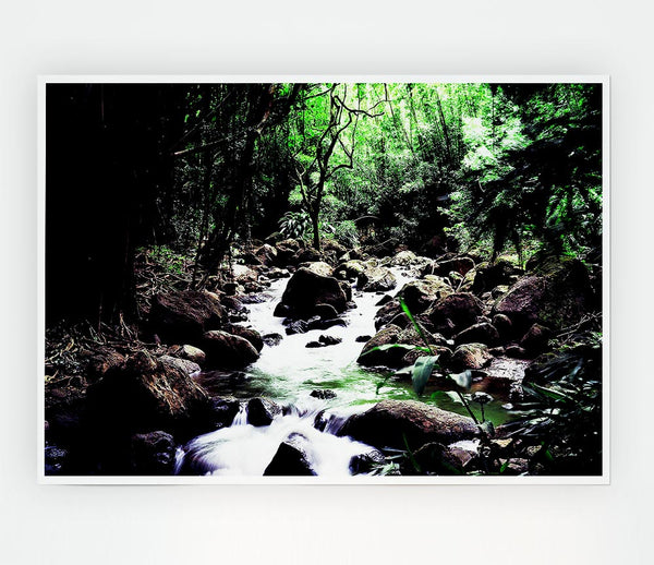 Hidden Woodland Stream Print Poster Wall Art