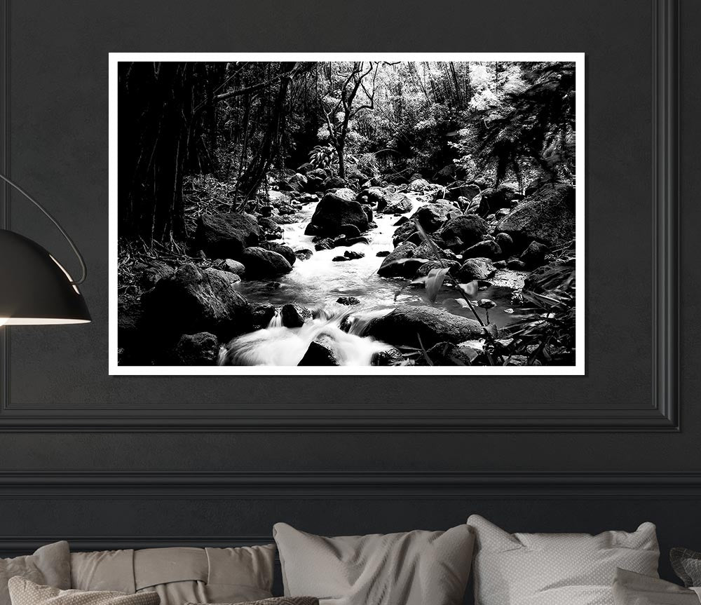 The Stream In The Woodland B N W Print Poster Wall Art