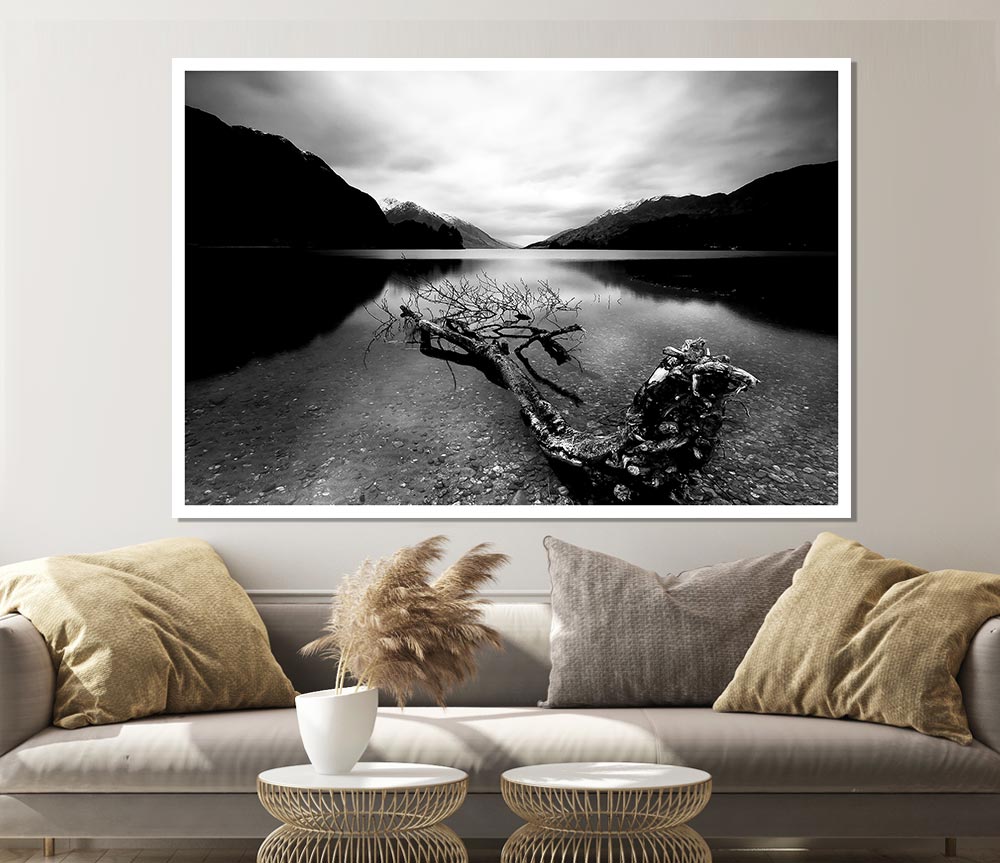 Tree In The Lake B N W Print Poster Wall Art