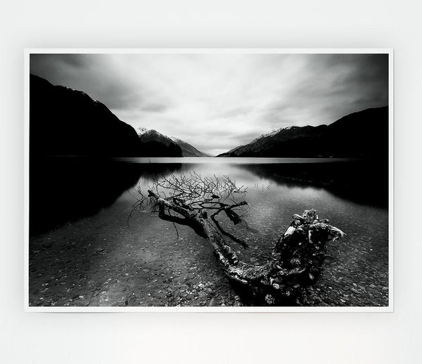 Tree In The Lake B N W Print Poster Wall Art