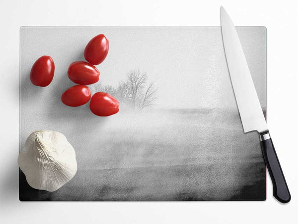 Absorption B n W Glass Chopping Board