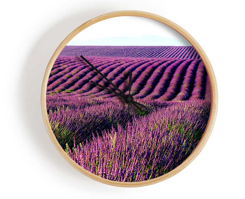 Summer Lavender Fields Clock - Wallart-Direct UK