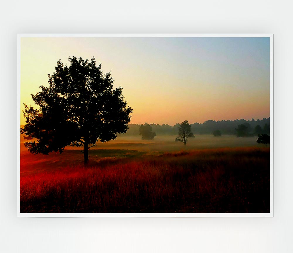 Autumn Sunrise Tree In The Mist Print Poster Wall Art