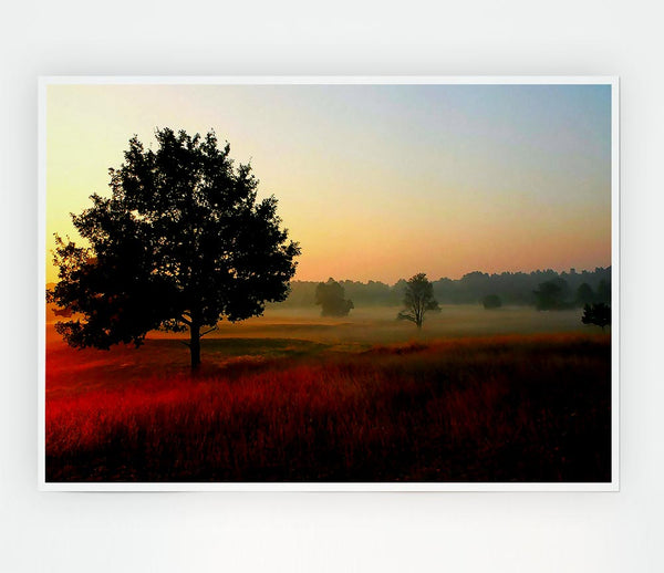 Autumn Sunrise Tree In The Mist Print Poster Wall Art