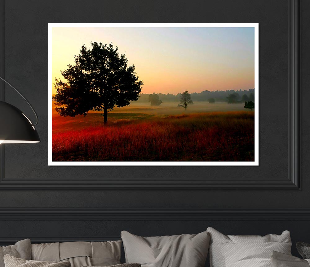 Autumn Sunrise Tree In The Mist Print Poster Wall Art