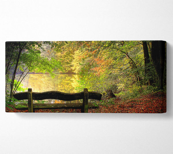 Empty Bench In Fall Scene