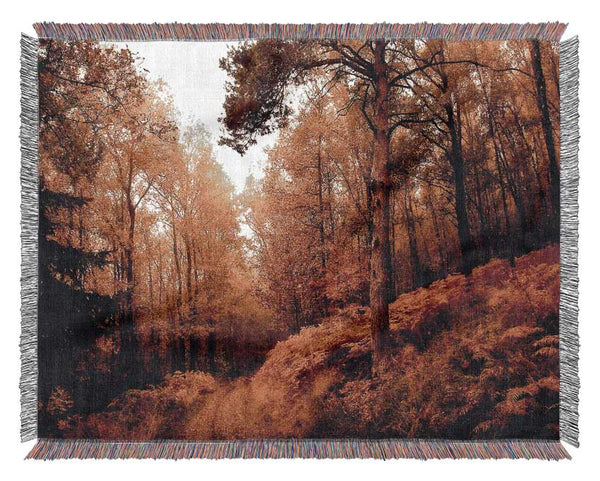 Mountain Path Woven Blanket