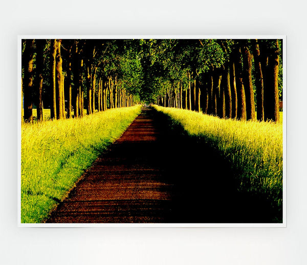 Tree Alley Print Poster Wall Art