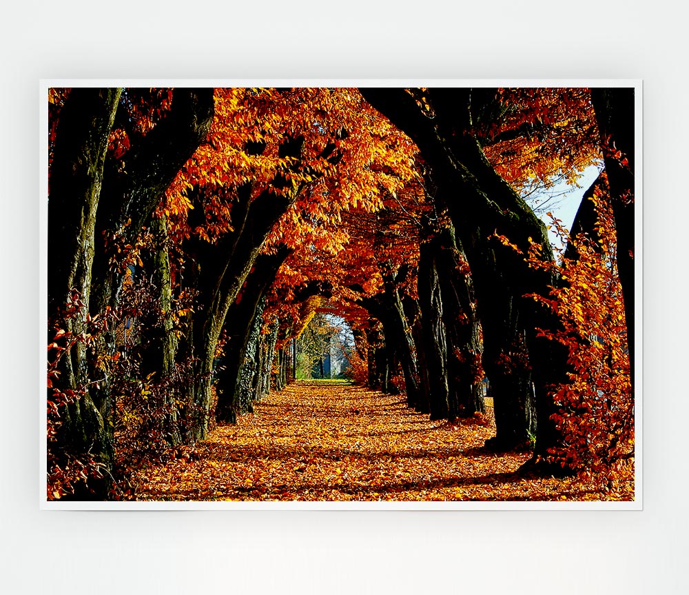 Beautiful Path Print Poster Wall Art