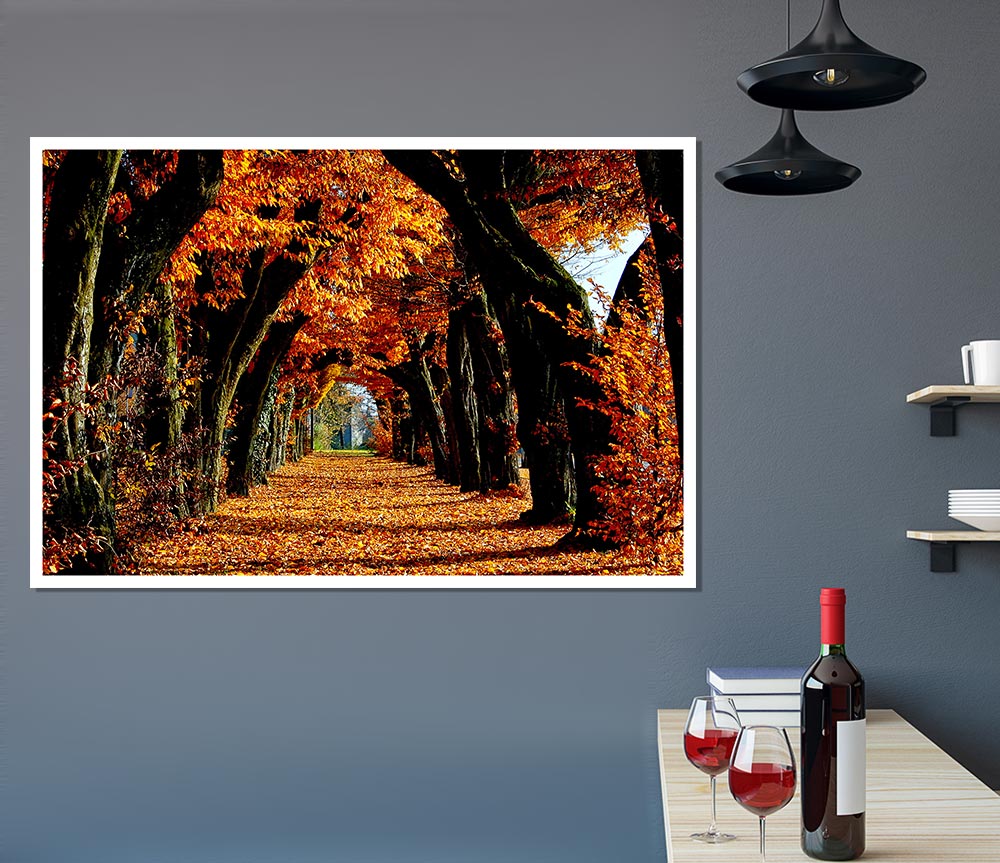 Beautiful Path Print Poster Wall Art