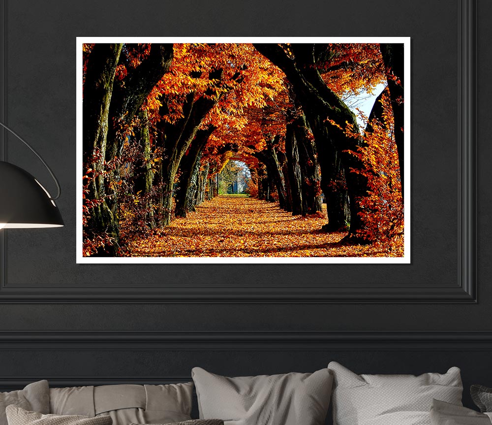 Beautiful Path Print Poster Wall Art