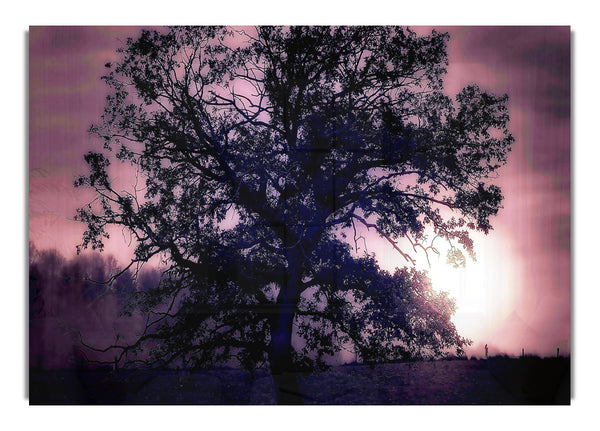 Tree Under Full Moon