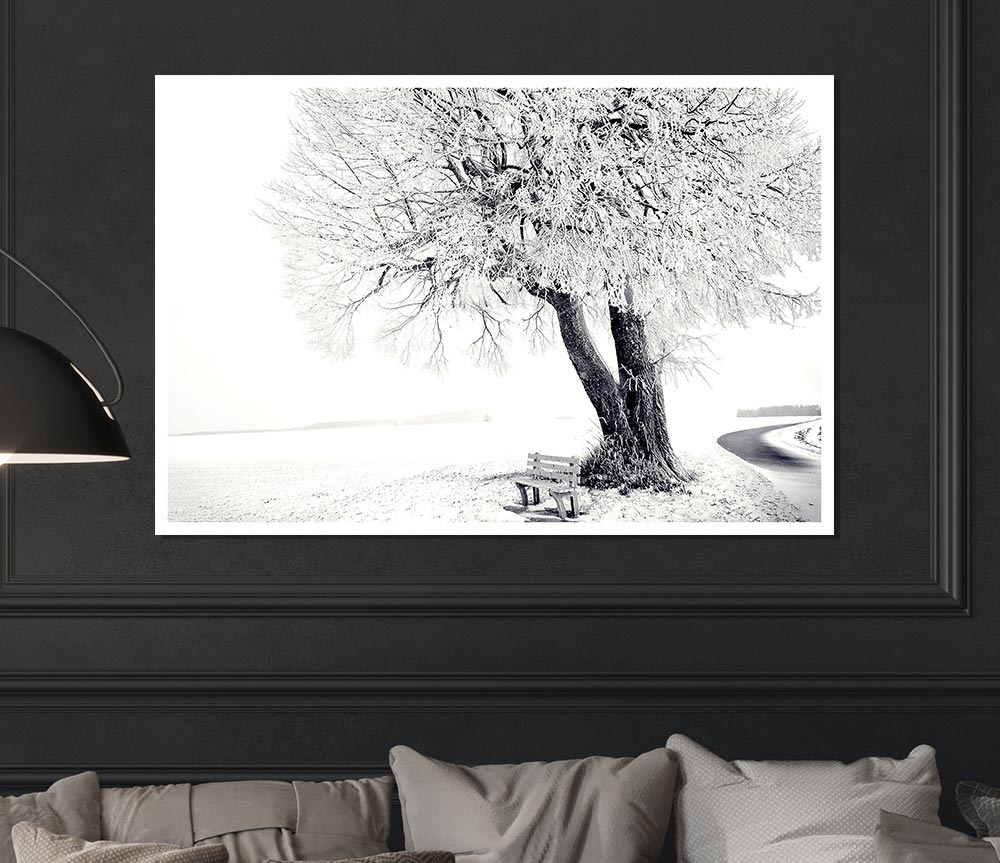 Bench Under Tree Winter Print Poster Wall Art