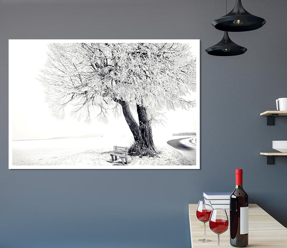 Bench Under Tree Winter Print Poster Wall Art