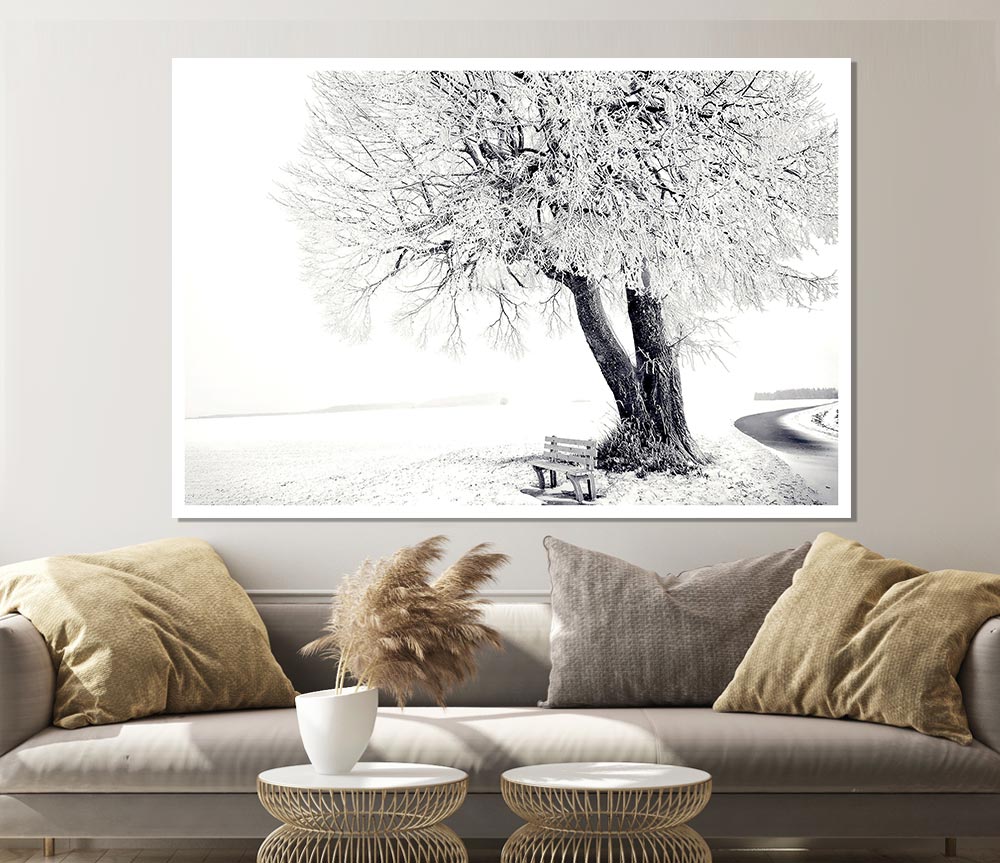 Bench Under Tree Winter Print Poster Wall Art