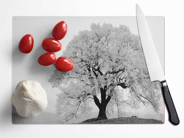 Blossomed Tree Glass Chopping Board