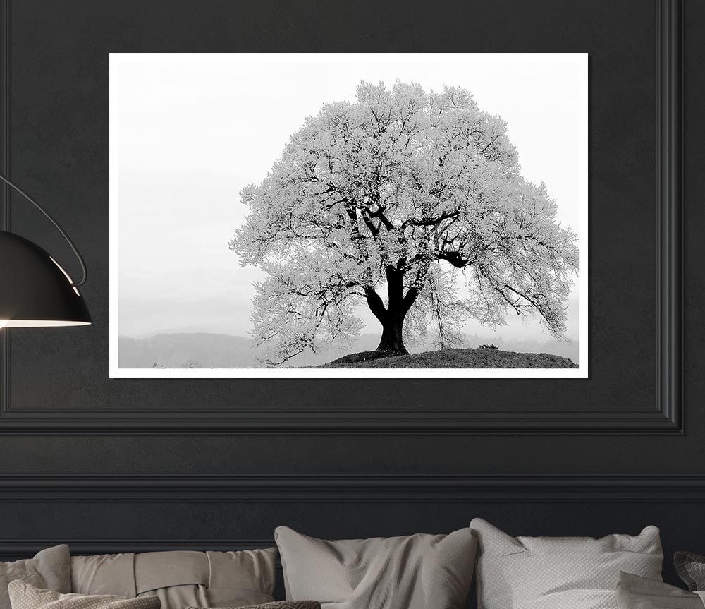 Blossomed Tree Print Poster Wall Art