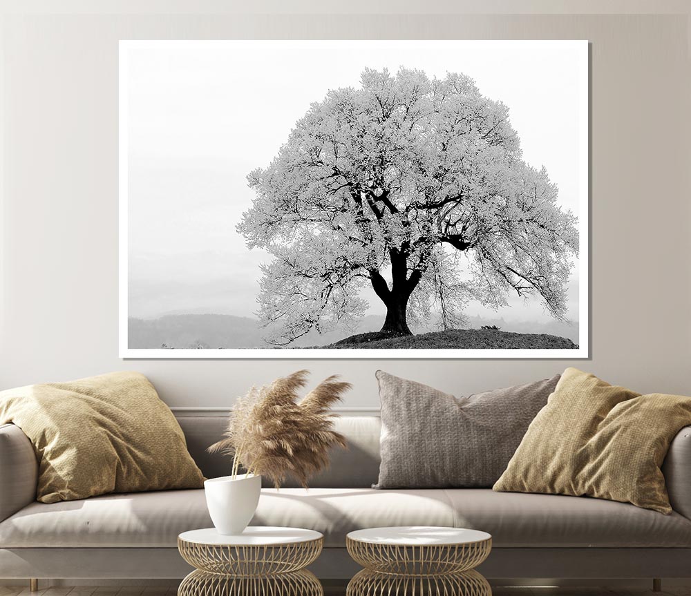 Blossomed Tree Print Poster Wall Art