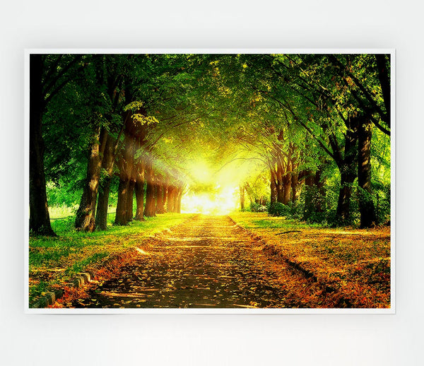 Autumn Path Print Poster Wall Art