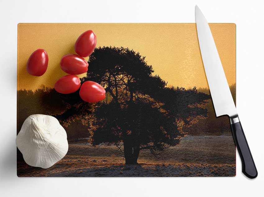 Stunning Old Tree At Dusk Glass Chopping Board