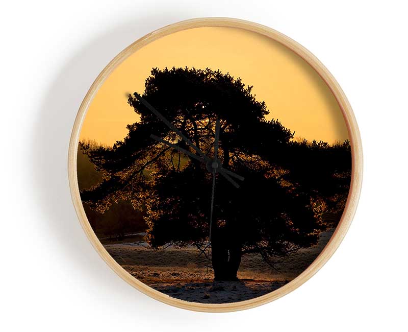 Stunning Old Tree At Dusk Clock - Wallart-Direct UK