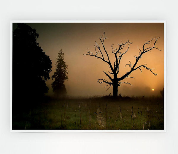 Winter Tree In The Mist Print Poster Wall Art