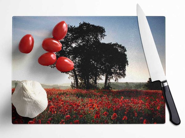 Sunset Poppy tree Glass Chopping Board