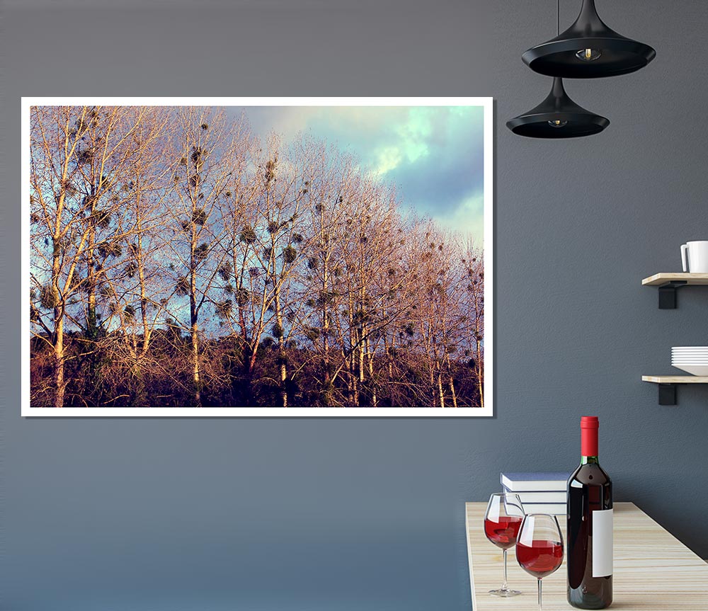 Bird Trees Print Poster Wall Art