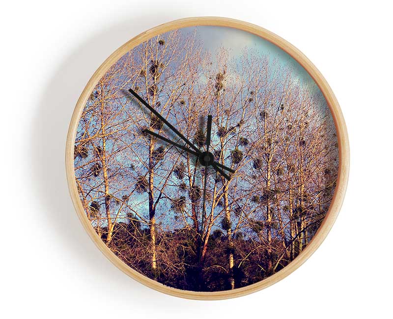 Bird Trees Clock - Wallart-Direct UK