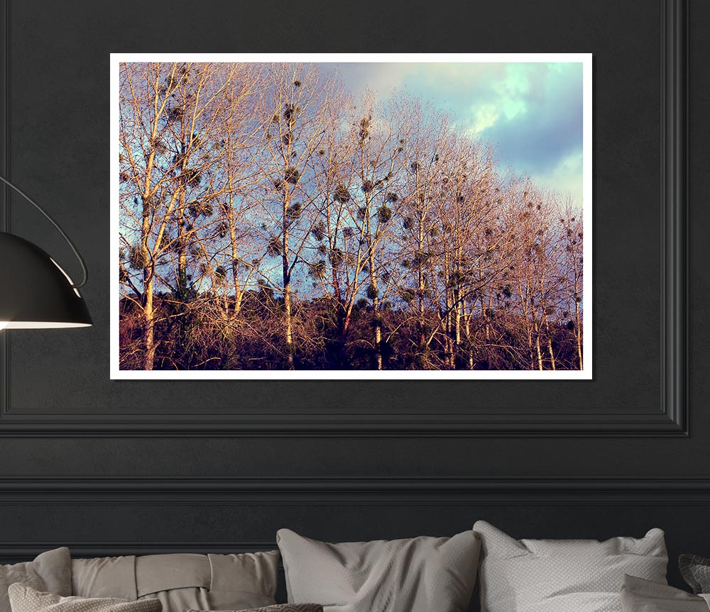 Bird Trees Print Poster Wall Art