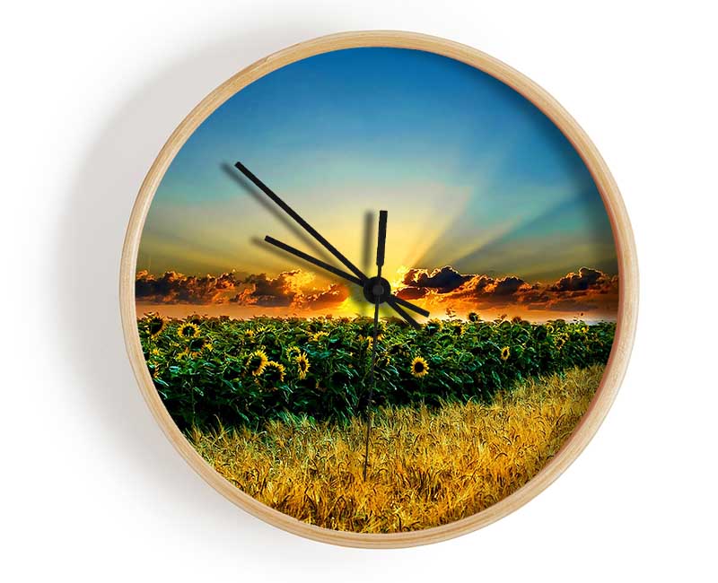 Sunflower Field Sunset Clock - Wallart-Direct UK