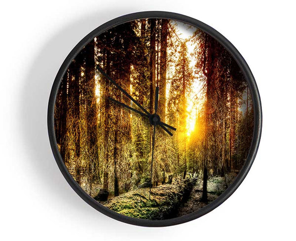 Old Forest In Yosemite Clock - Wallart-Direct UK