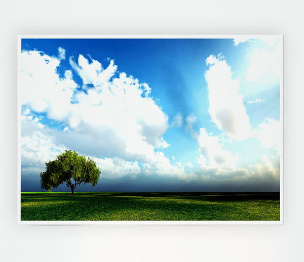 Beauty Of Nature Print Poster Wall Art