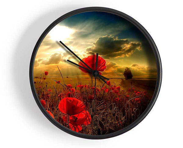 Sunlight Clock - Wallart-Direct UK