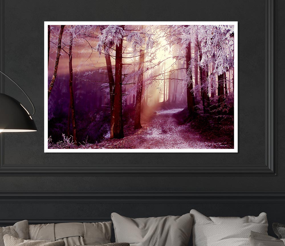 Winter Woodland Sunbeam Print Poster Wall Art