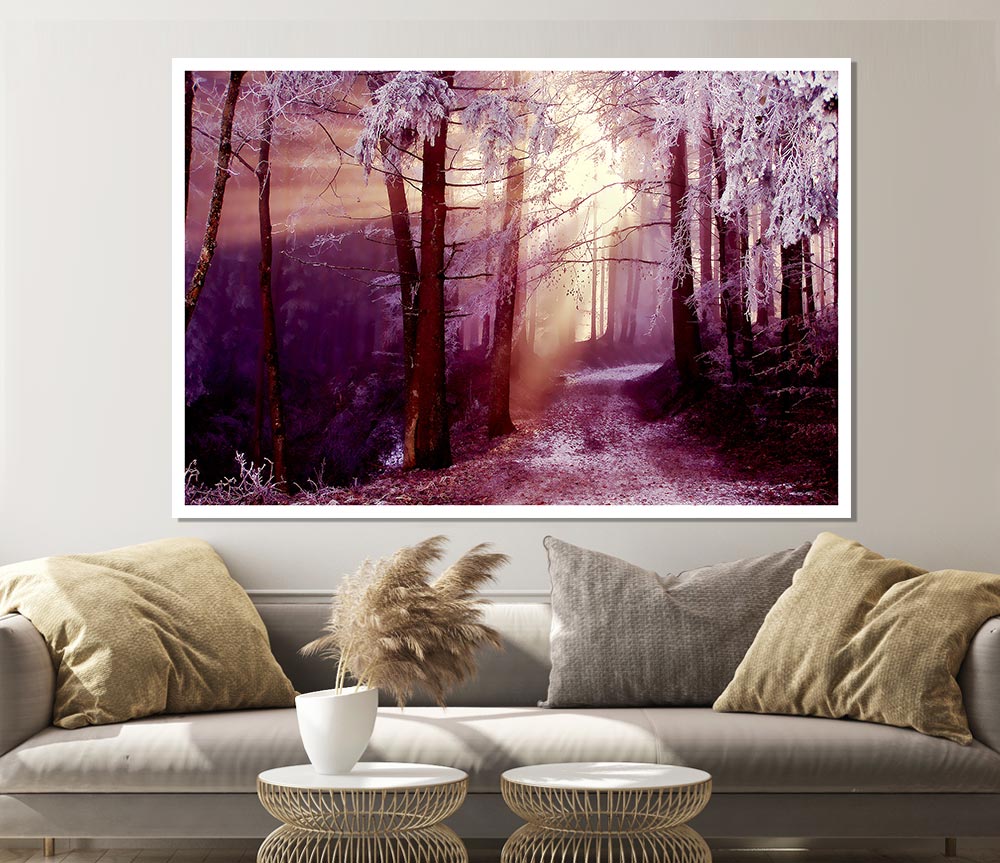 Winter Woodland Sunbeam Print Poster Wall Art