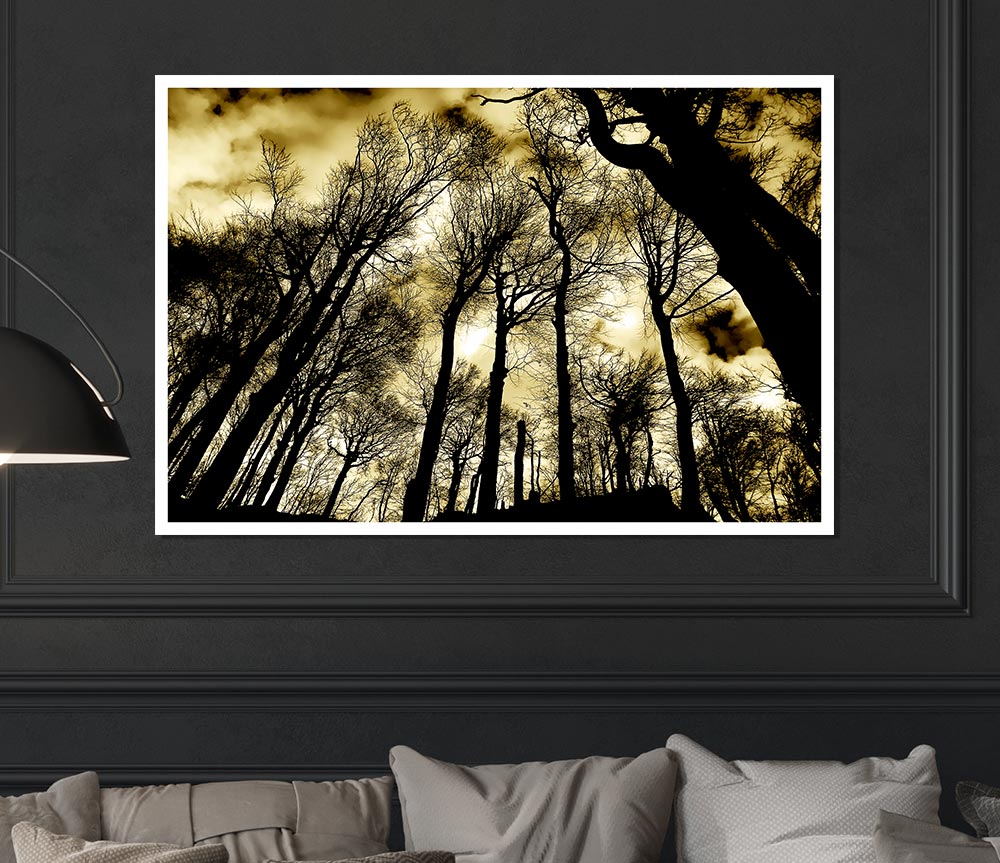 Woodland Skies Print Poster Wall Art