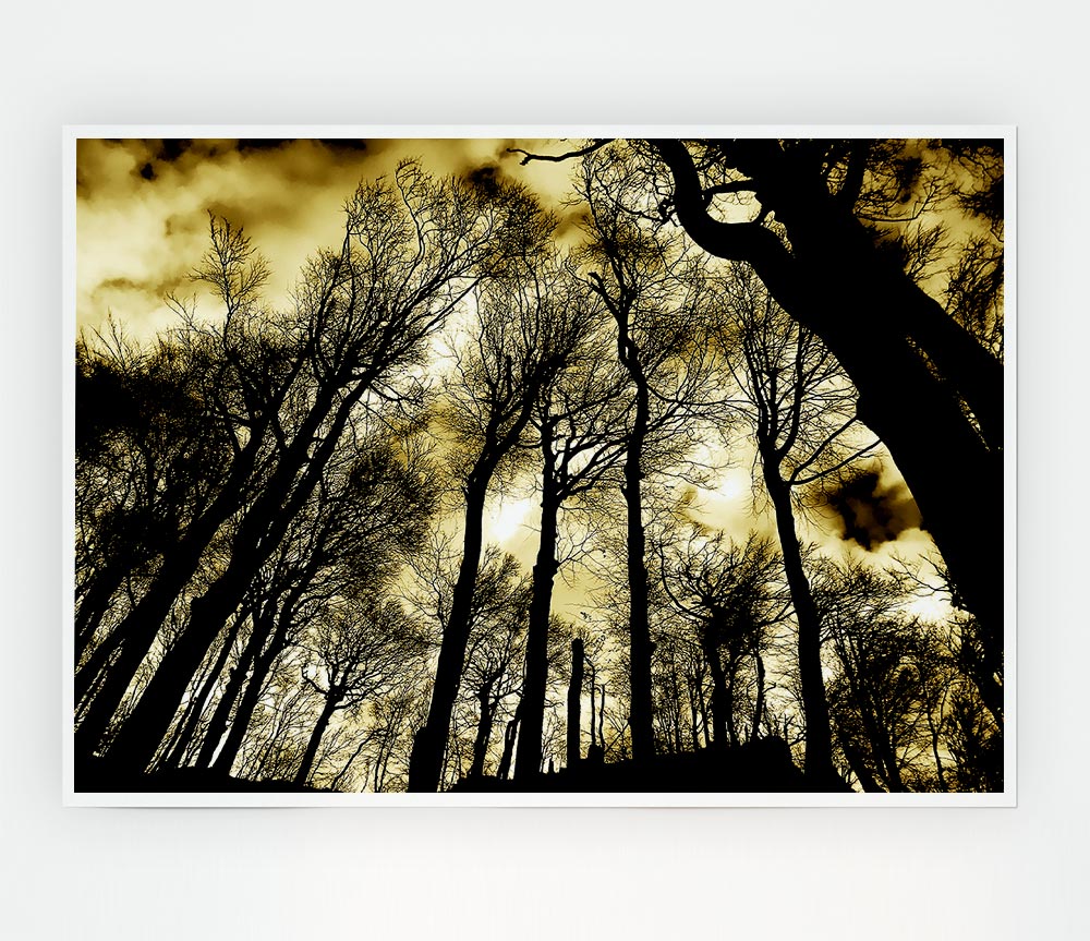 Woodland Skies Print Poster Wall Art